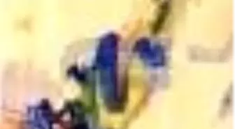 La Paix - Şiire ve Hayata Dair Denemeler Kitabı