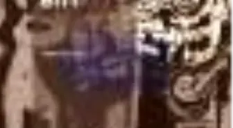 Tanığın Biri Kitabı