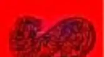 Tehlikeli Rüyalar Görme Yılı Kitabı Çıktı