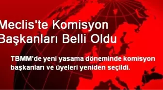 Meclis'te Komisyon Başkanları Belli Oldu