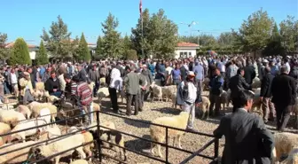 Sarıgöl Belediye Canlı Hayvan Pazarı, Arefe Günün Kadar Açık