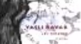 Yaşlı Kavak Kitabı