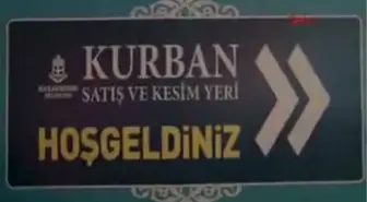 * Başakşehir'deki Kurban Pazarında Elektrik Akımına Kapılan Yaklaşık 30 Büyükbaş Hayvan Öldü.