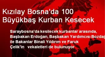 Kızılay Bosna'da 100 Büyükbaş Kurban Kesecek