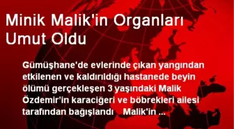 Minik Malik'in Organları Umut Oldu