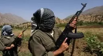 Şanlıurfa'da İki Terörist Yakalandı