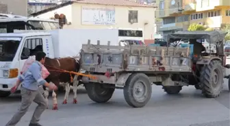 Öfkeli Boğa Cam Çerçeve İndirdi