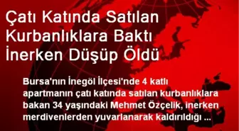 Çatı Katında Satılan Kurbanlıklara Baktı İnerken Düşüp Öldü