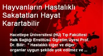 Hayvanların Hastalıklı Sakatatları Hayat Karartabilir