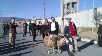 C Lideri İçin Cezaevi Önünde Kurban Kestiler