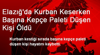 Elazığ'da Kurban Keserken Başına Kepçe Paleti Düşen Kişi Öldü
