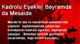 Kadrolu Eşekler Bayramda da Mesaide