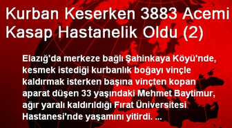 Kurban Keserken 3883 Acemi Kasap Hastanelik Oldu (2)