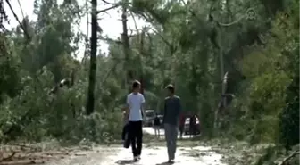 Hortum zarara neden oldu