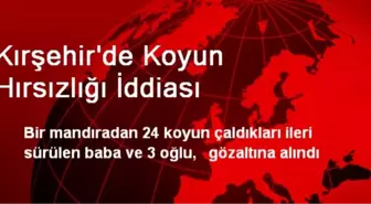 Kırşehir'de Koyun Hırsızlığı İddiası