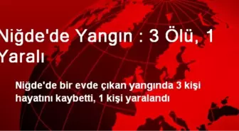 Mangal Faciası: 3 Ölü, 1 Yaralı