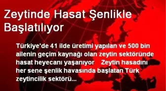 Şarkışla'da Trafik Kazası: 1 Yaralı