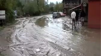 Alaplı'da Kavukkavla Deresi Taşınca Alabalıklar Sele Kapıldı