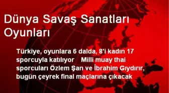 Dünya Savaş Sanatları Oyunları