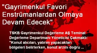 'Gayrimenkul Favori Enstrümanlardan Olmaya Devam Edecek'