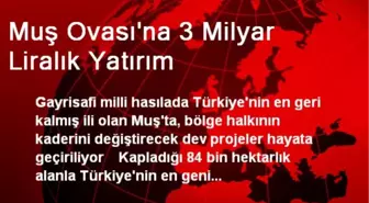 Muş Ovası'na 3 Milyar Liralık Yatırım