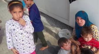 Suriyeli Mültecilere 6.5 Ton Kurbanlık Et Bağışı Yapıldı