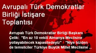 Avrupalı Türk Demokratlar Birliği İstişare Toplantısı