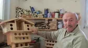 (Özel Haber) Çankaya Köşküne 90 Tane Kuş Yuvası Yaptı