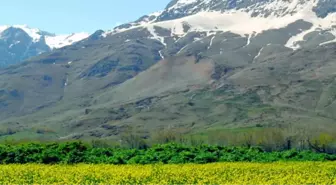 Tunceli'ye Kayak Merkezi Yapılıyor