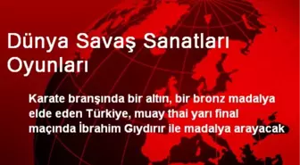 Dünya Savaş Sanatları Oyunları