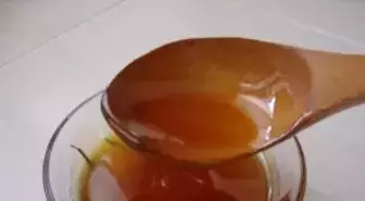 Çam Balı Üretimi Altın Yılını Yaşıyor