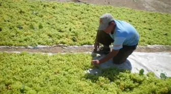 İran Üzümüne Karşı Önlem Çağrısı