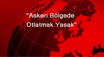 'Askeri Bölgede Otlatmak Yasak'