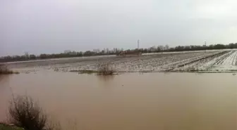 Gediz Nehri'nde Atık Su Kirliliği