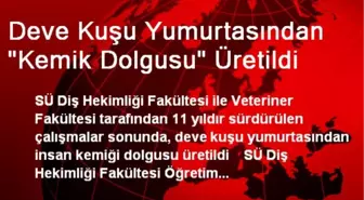 Deve Kuşu Yumurtasından 'Kemik Dolgusu' Üretildi