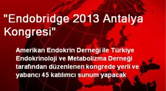 'Endobridge 2013 Antalya Kongresi'