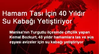 Hamam Tası İçin 40 Yıldır Su Kabağı Yetiştiriyor