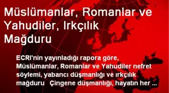 Müslümanlar, Romanlar ve Yahudiler, Irkçılık Mağduru