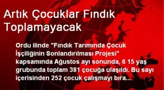 Artık Çocuklar Fındık Toplamayacak