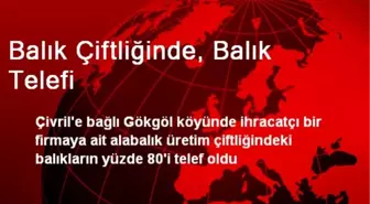 Balık Çiftliğinde, Balık Telefi
