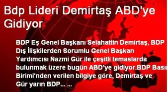 Bdp Lideri Demirtaş ABD'ye Gidiyor