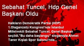Sebahat Tuncel, Hdp Genel Başkanı Oldu