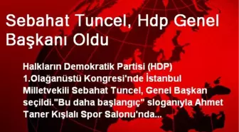 Sebahat Tuncel, Hdp Genel Başkanı Oldu