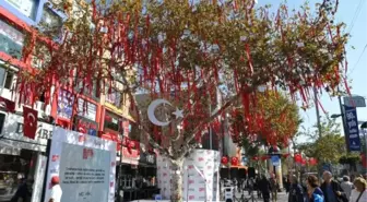 Kadıköy'de Cumhuriyet Ağacı Kuruldu