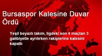 Bursaspor Kalesine Duvar Ördü