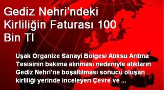 Gediz Nehri'ndeki Kirliliğin Faturası 100 Bin Tl