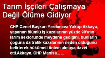 Tarım İşçileri Çalışmaya Değil Ölüme Gidiyor