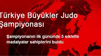 Türkiye Büyükler Judo Şampiyonası