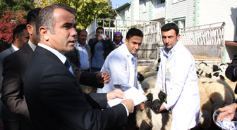 Projede Olumlu Sonuç Alınınca Bakanlık Devam Kararı Aldı