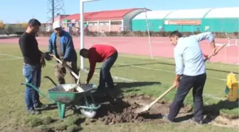 Ağrı'da, Stadyumda Bakım Çalışmaları